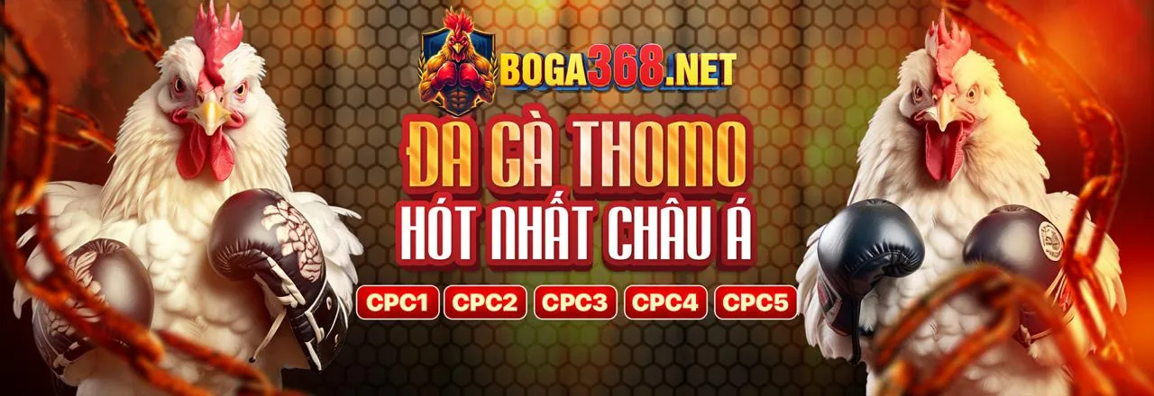 788win Chính Thức 2026 - Nền Tảng Cá Cược Thể Thao Hàng Đầu Việt Nam