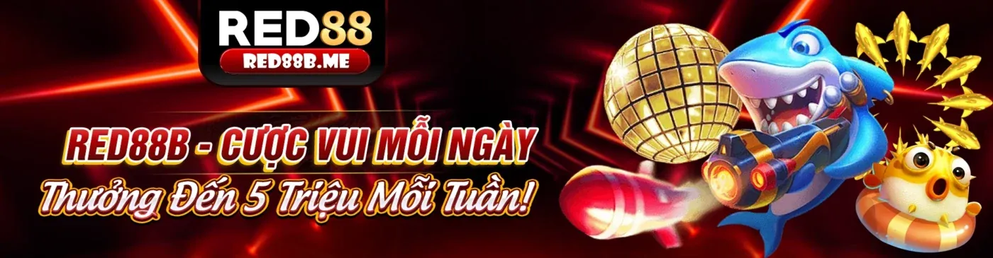 Đá Gà 788win Chính Thức